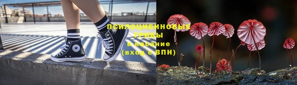 стаф Карпинск