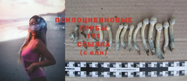 стаф Карпинск