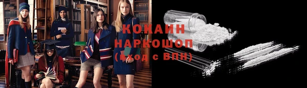 стаф Карпинск