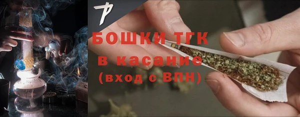 гашик Карталы