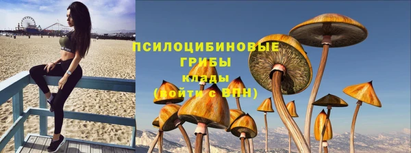 стаф Карпинск