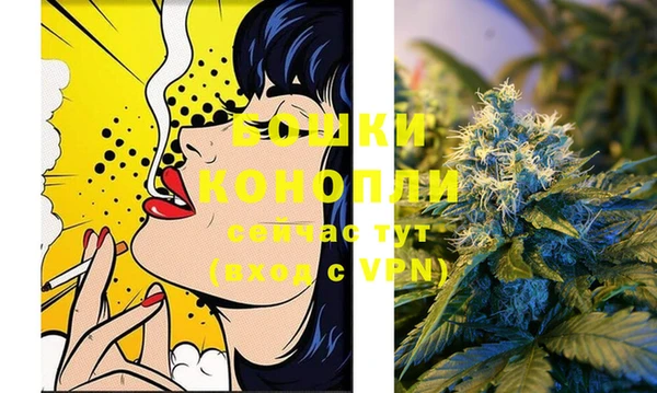 стаф Карпинск