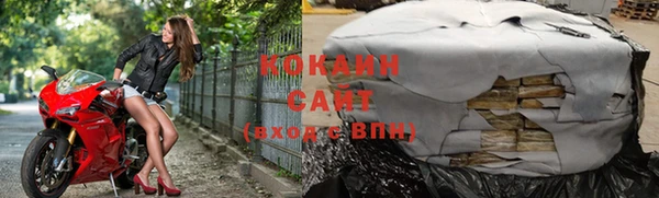 стаф Карпинск