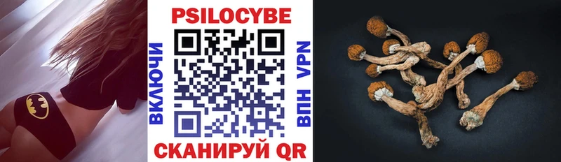 Галлюциногенные грибы Cubensis  Чапаевск 