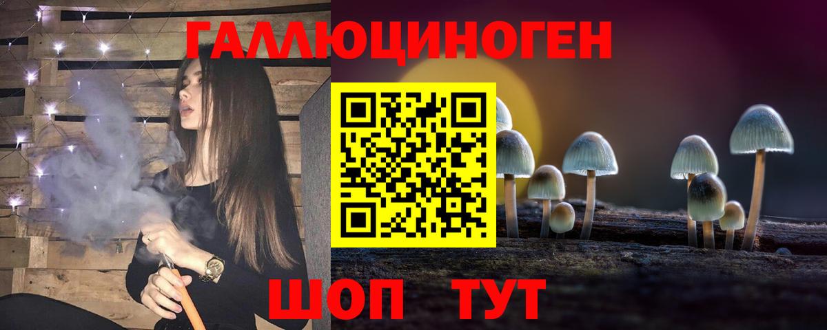 купить  цена  Вход с VPN  Чапаевск  Псилоцибиновые грибы прущие грибы 