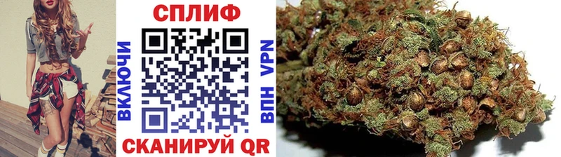 Каннабис ГИДРОПОН  купить наркотик  Чапаевск 